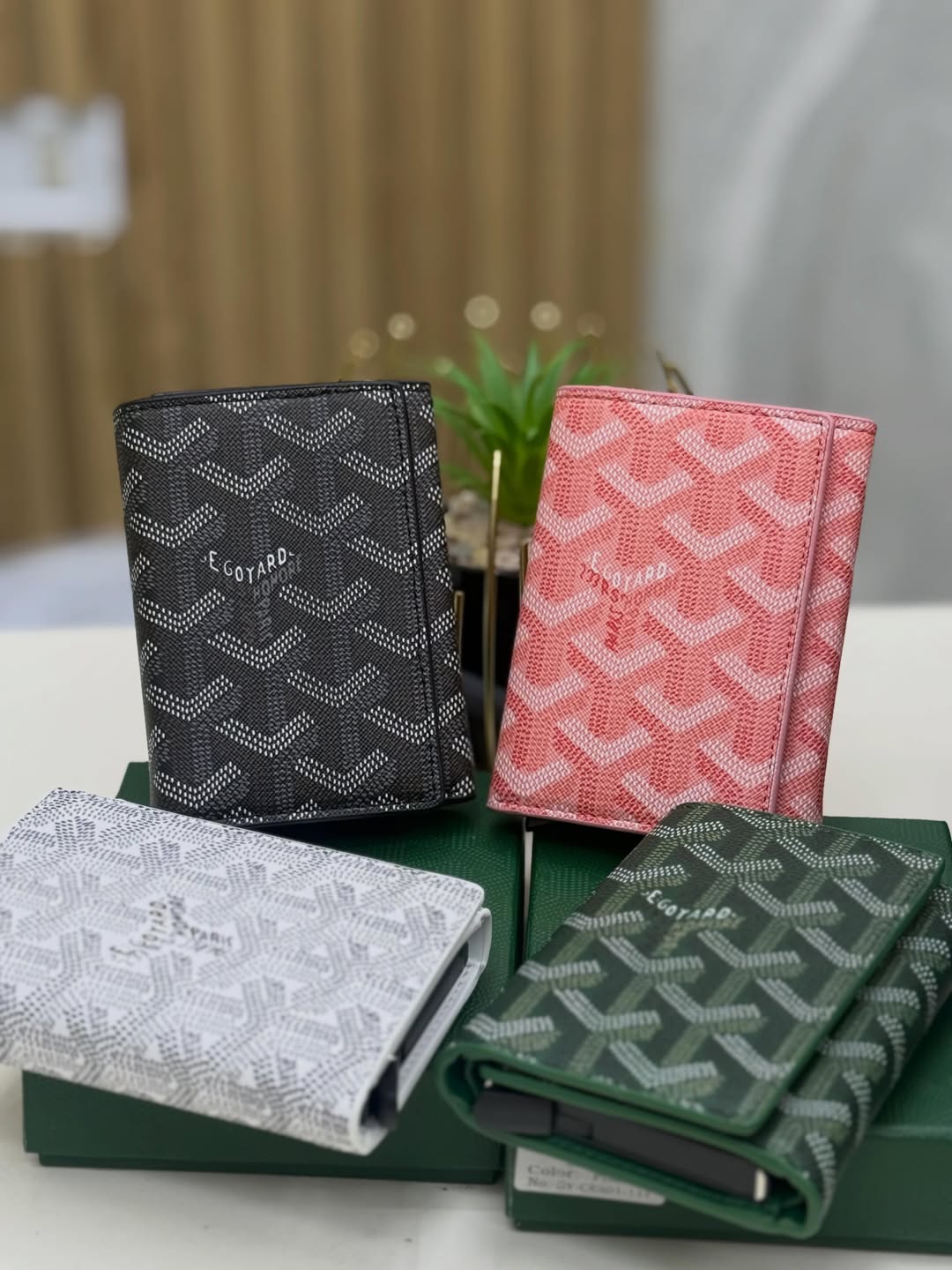 Bifold Wallet
